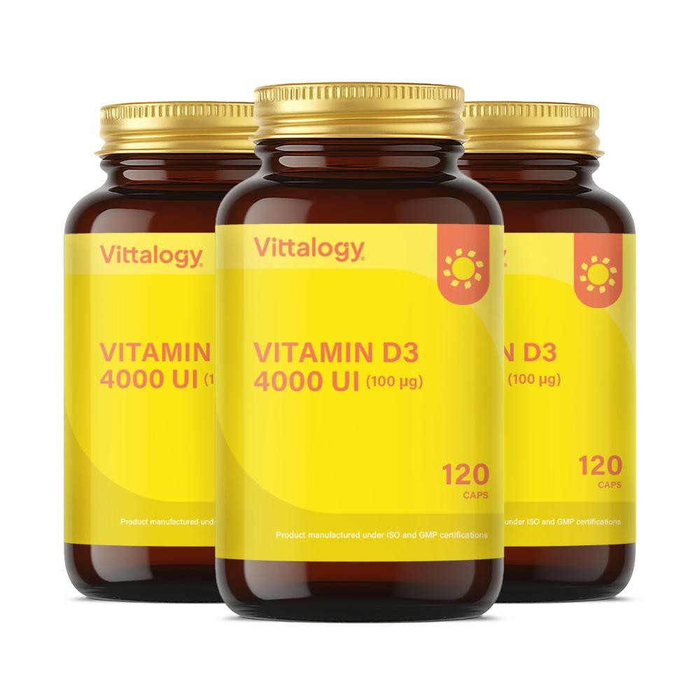 Vittalogy Vitamin D3 4000 UI 3x120 Cápsulas【PACK AHORRO】-1
