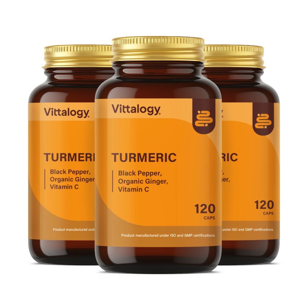 Vittalogy Cúrcuma Turmeric 3x120 Cápsulas【PACK AHORRO】-1