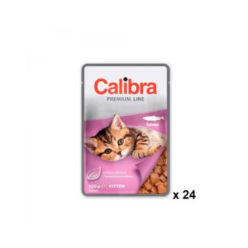 Product image for 10508