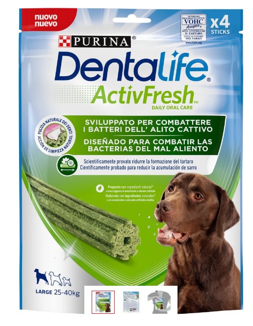 Product image for 11961