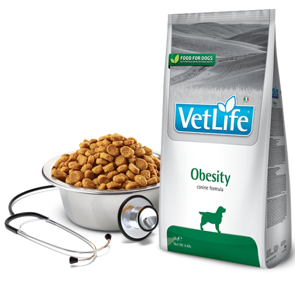 Product image for 13907