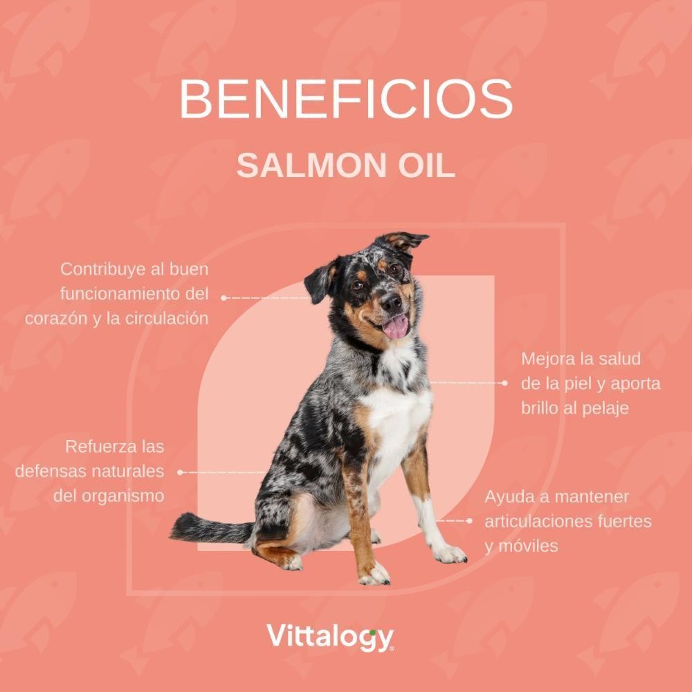 Vittalogy Aceite de Salmón para Perros y Gatos Duplo 2x500ml-5