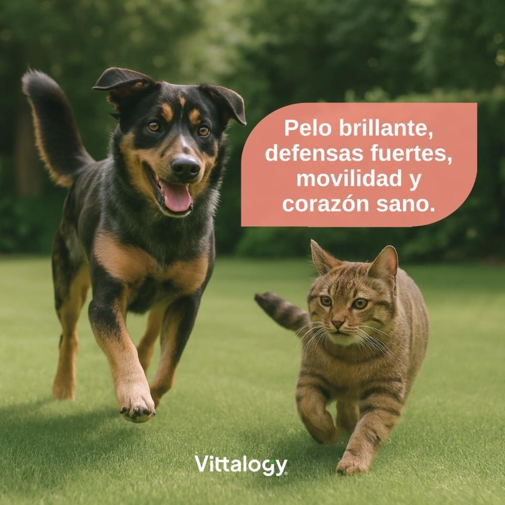 Vittalogy Aceite de Salmón para Perros y Gatos Duplo 2x500ml-2