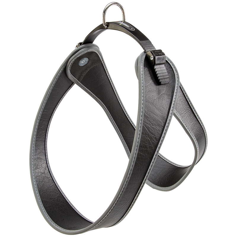 Product image for 15744