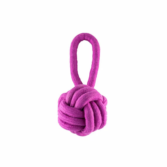 Product image for 16363