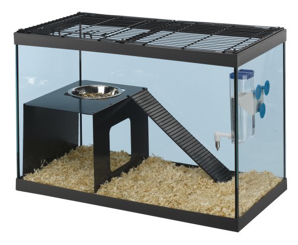 Product image for 15646