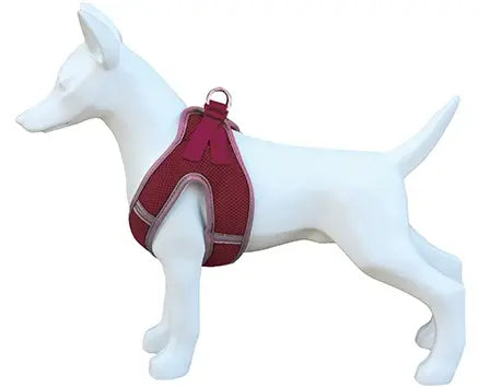 Product image for 15994