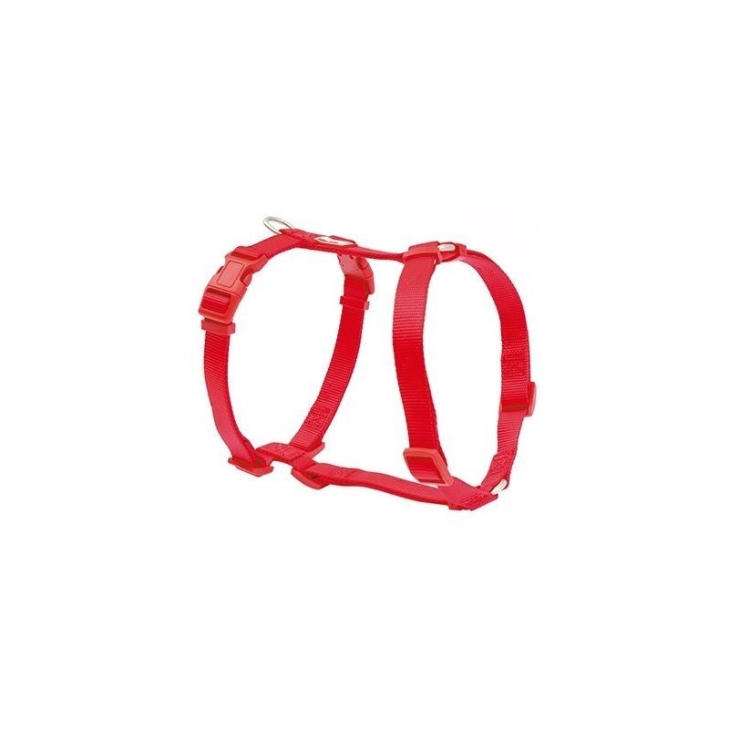 Product image for 11976