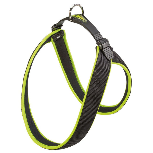 Product image for 14381