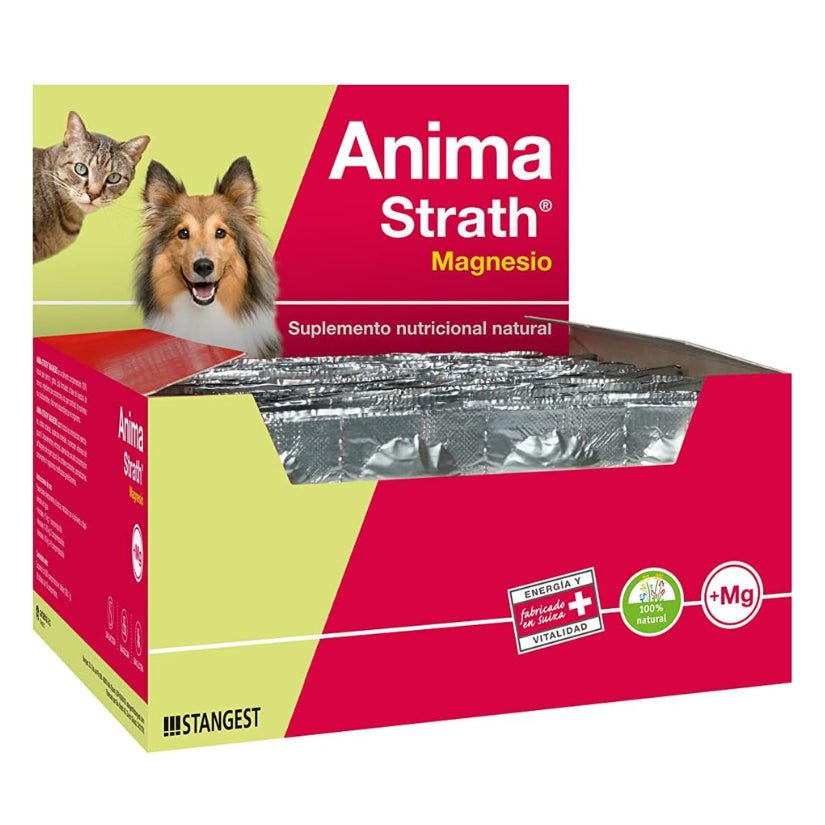 Product image for 16880