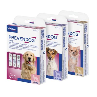Product image for 19551