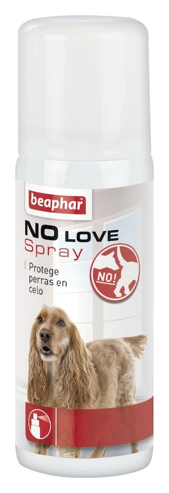 Product image for 10050