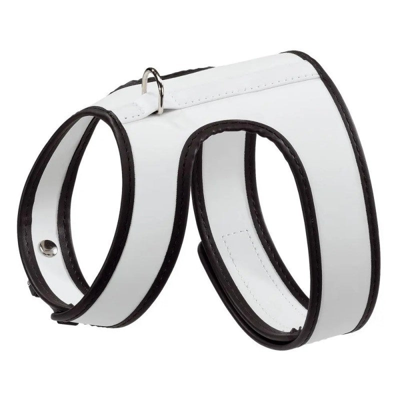 Product image for 15731