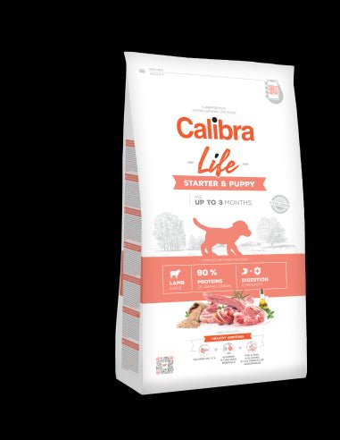 Product image for 11881