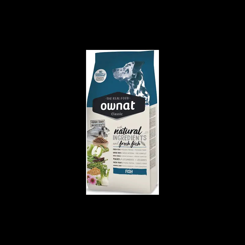 Product image for 10764
