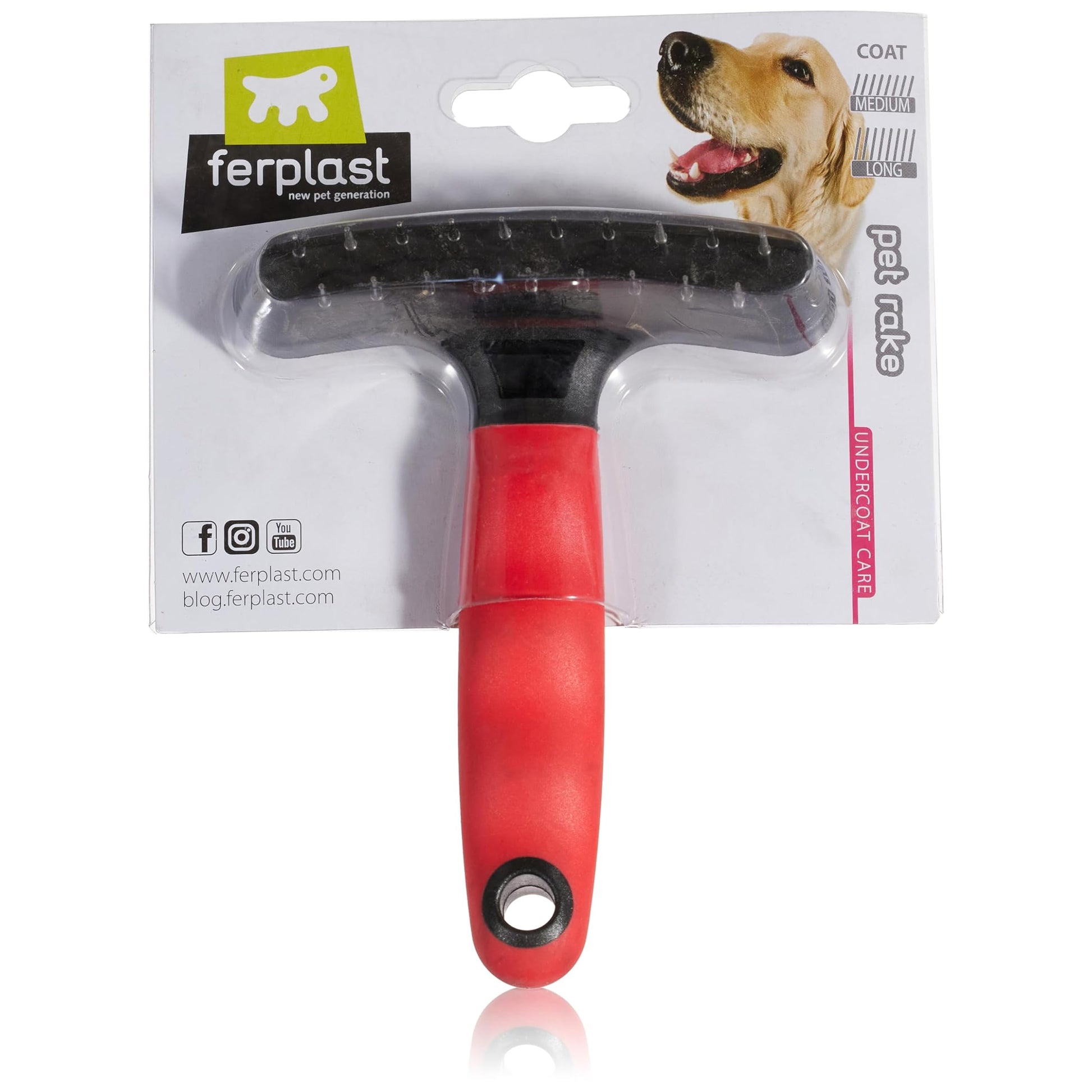 Product image for 15570