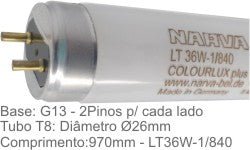 Product image for 14342