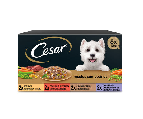 Product image for 10462