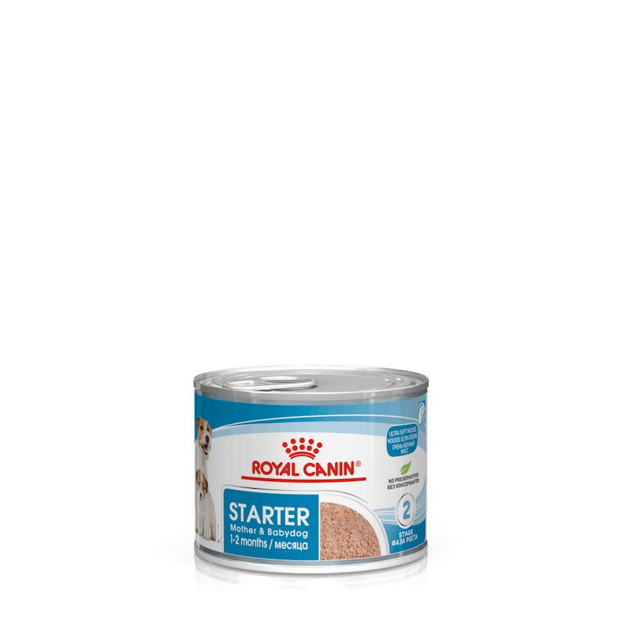Product image for 10109