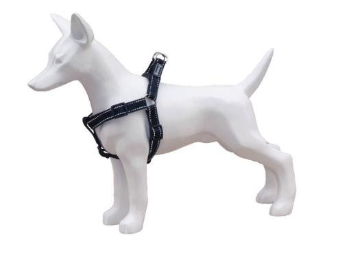 Product image for 16304