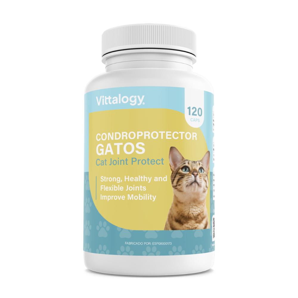 Vittalogy Condroprotector para Gatos 120 Cápsulas-1