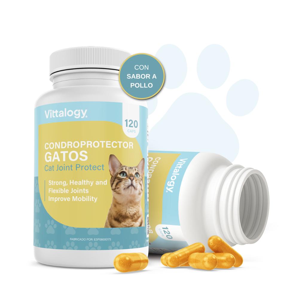 Vittalogy Condroprotector para Gatos 120 Cápsulas-3