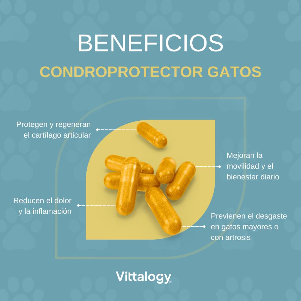 Vittalogy Condroprotector para Gatos 120 Cápsulas-5