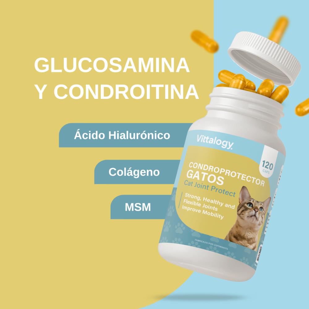 Vittalogy Condroprotector para Gatos 120 Cápsulas-6