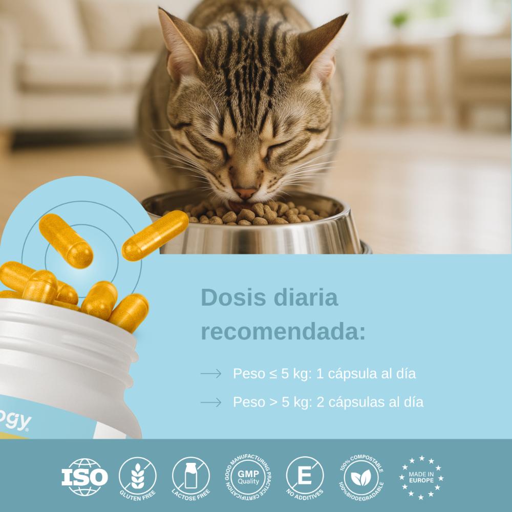 Vittalogy Condroprotector para Gatos 120 Cápsulas-7
