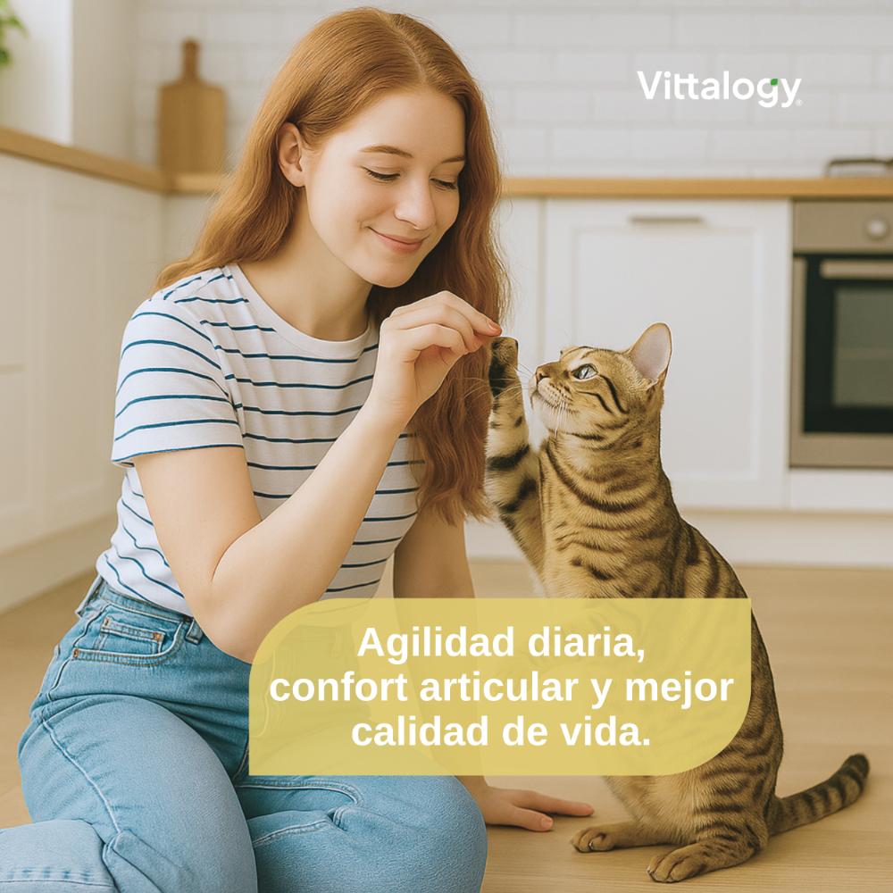 Vittalogy Condroprotector para Gatos 120 Cápsulas-2