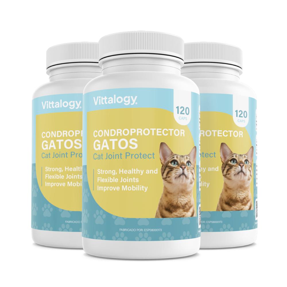 Vittalogy Condroprotector para Gatos 3x120 Cápsulas【PACK AHORRO】-1