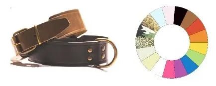 Collare per Cani in Pelle Bull Rj 35-44 L500 A40 1pz