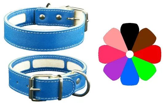 Collare per trasportino Youpet Bco 63-72 L800 A40 1pz