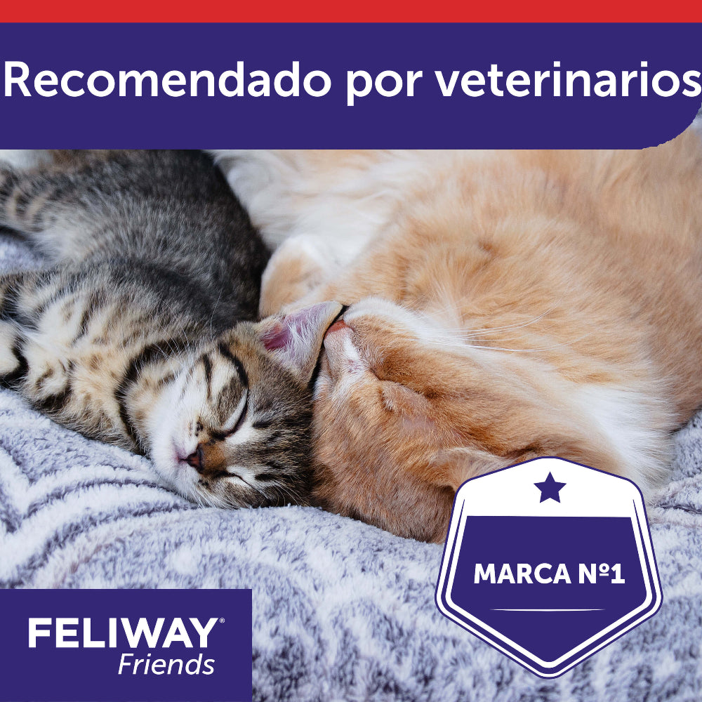 Feliway Friends Difusor + Recarga 48ml