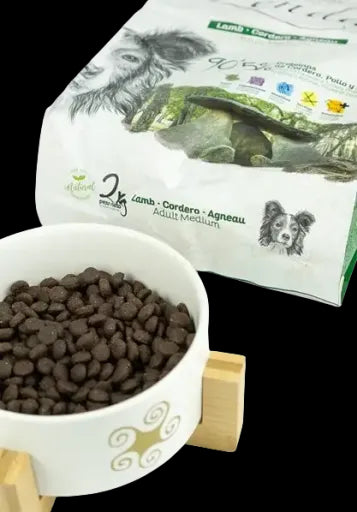 Product image for 24021