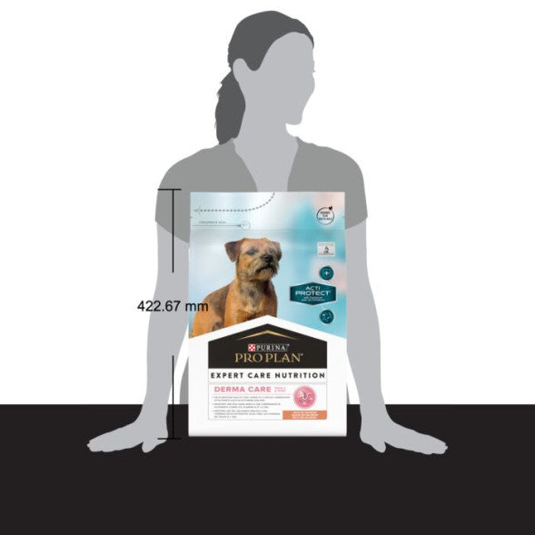 Product image for 21371