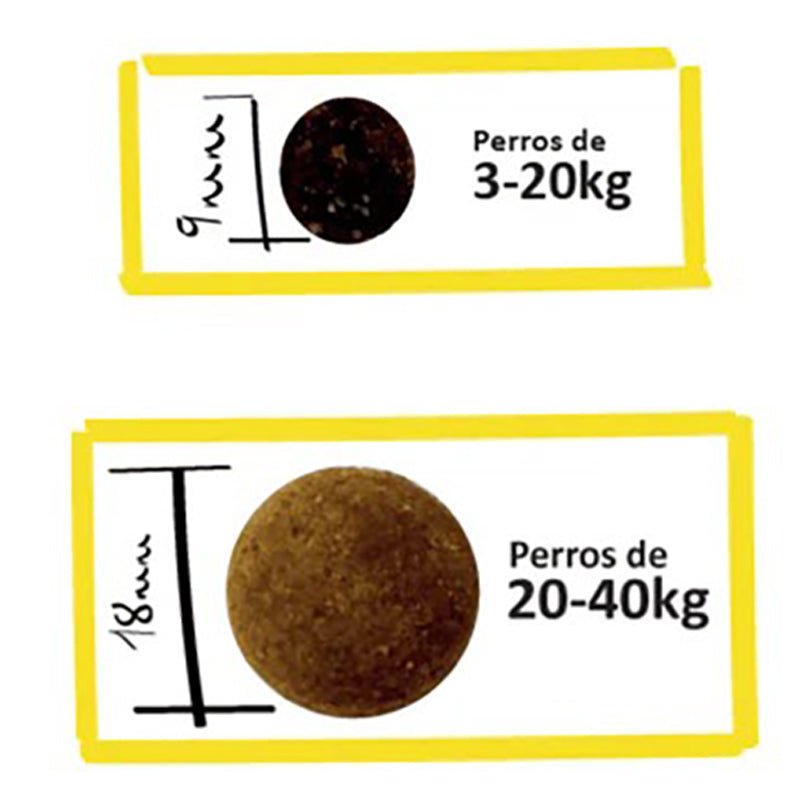 Product image for 24013