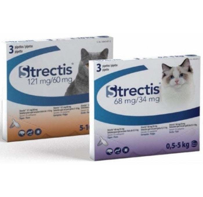 Product image for 21172