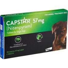 Product image for 21202