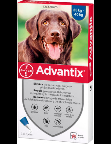 Product image for 21205