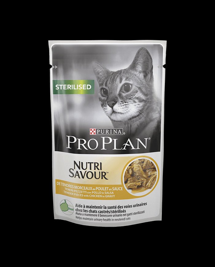 Product image for 21309