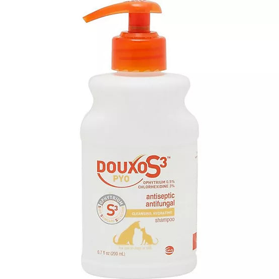 Product image for 21163