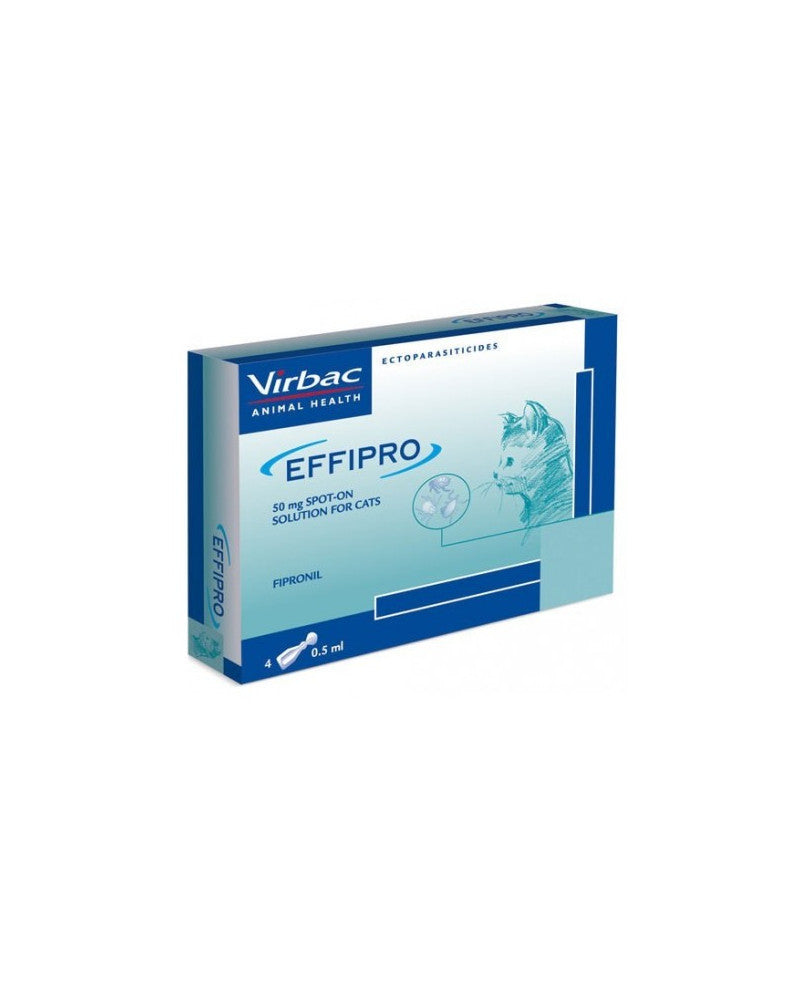 Product image for 21675