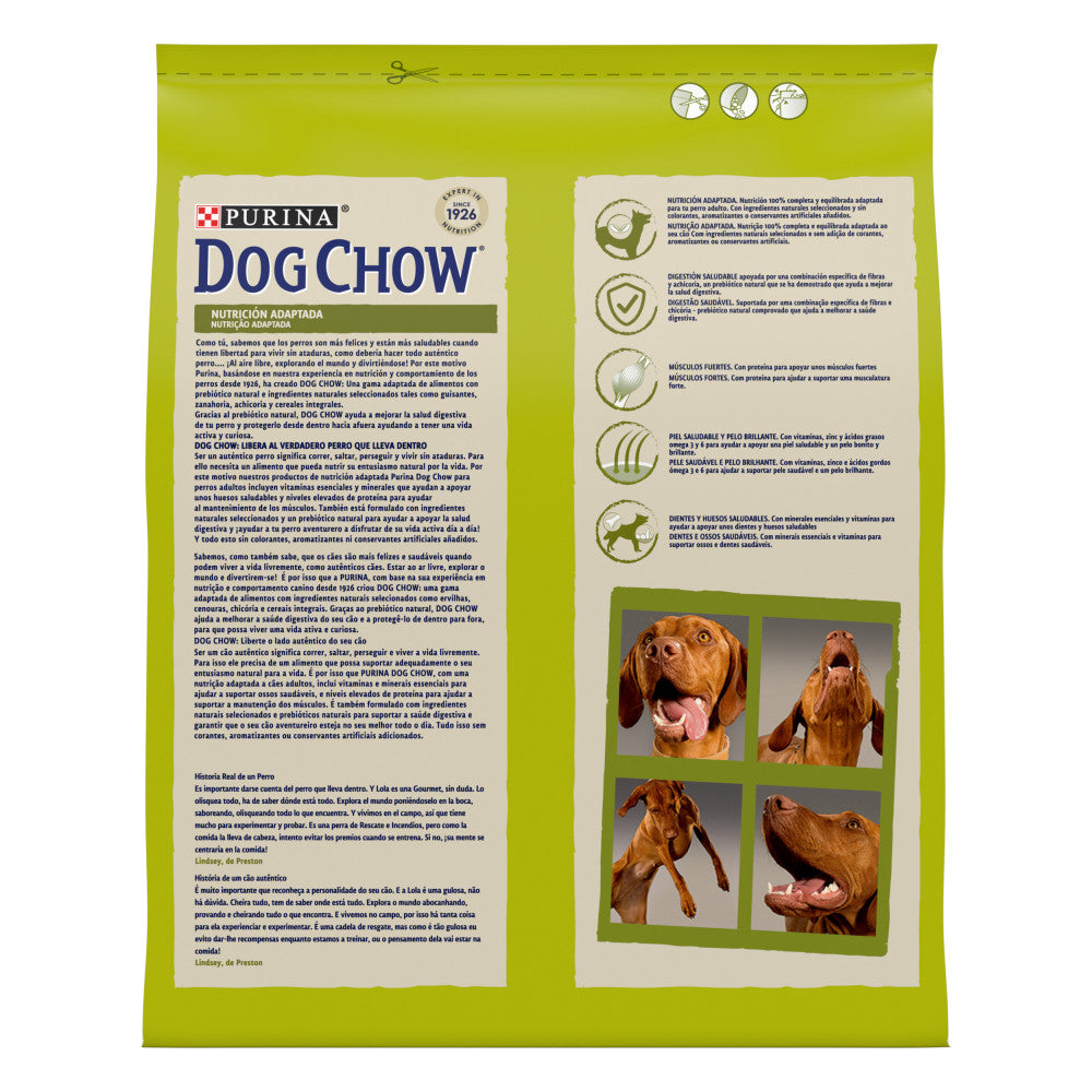 Product image for 21275