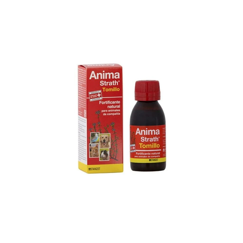 Product image for 21494