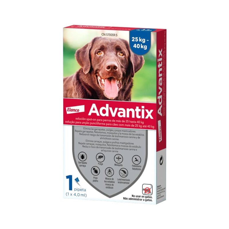 Product image for 21200
