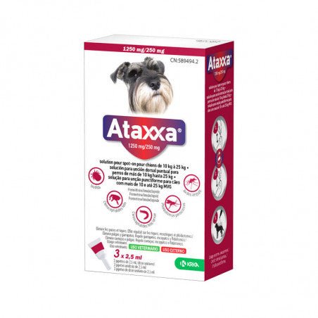 Product image for 21242