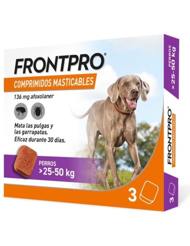 Product image for 21162