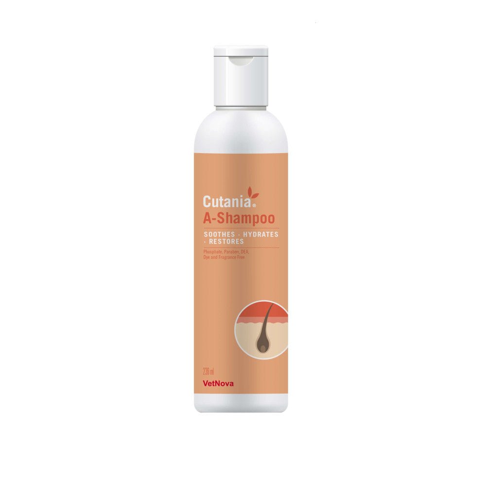 Product image for 21533