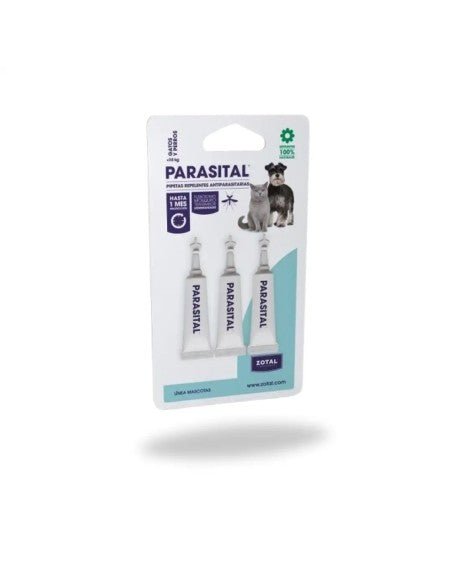 Product image for 21691